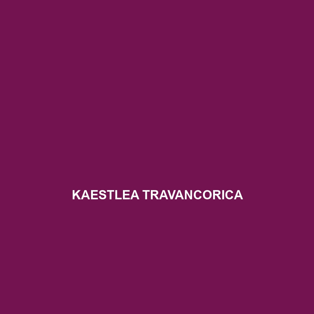 Kaestlea travancorica