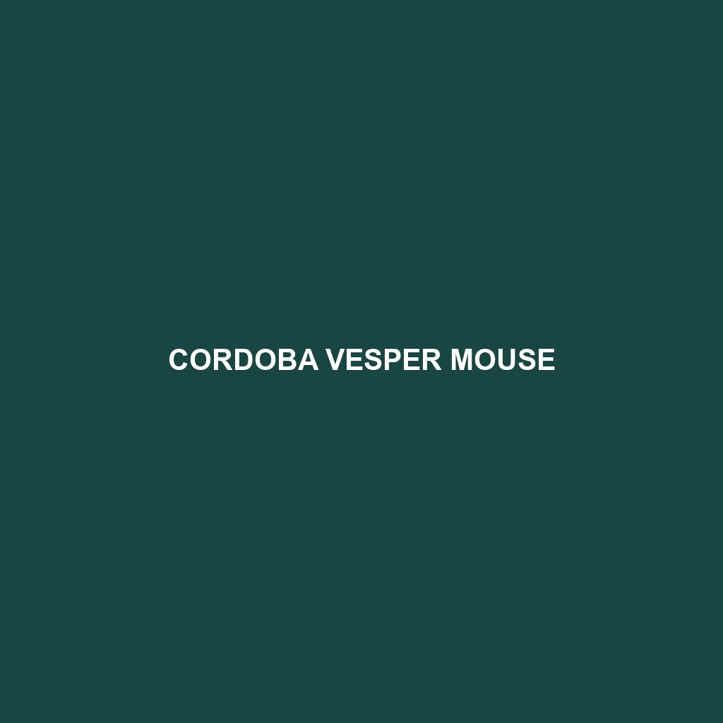 Cordoba Vesper Mouse