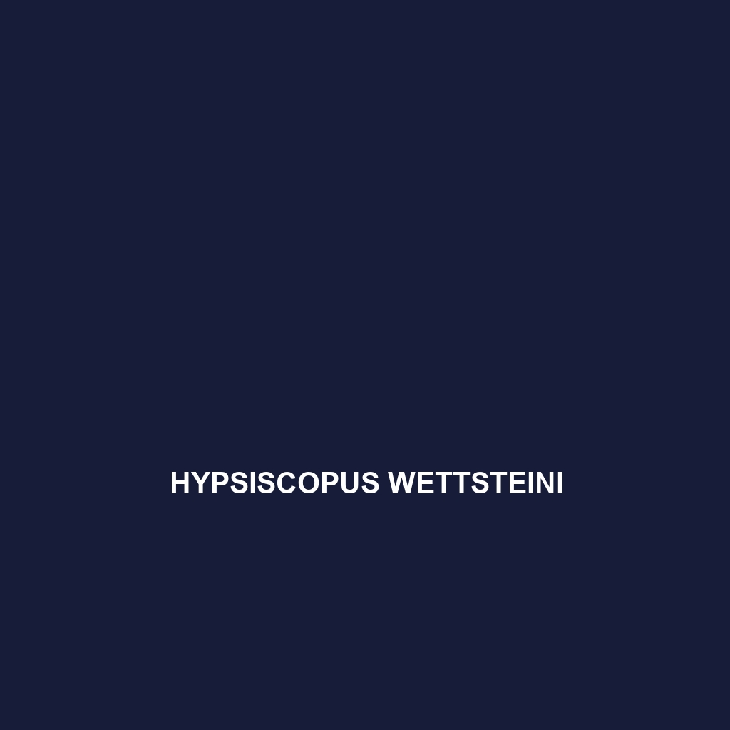 Hypsiscopus plumbea