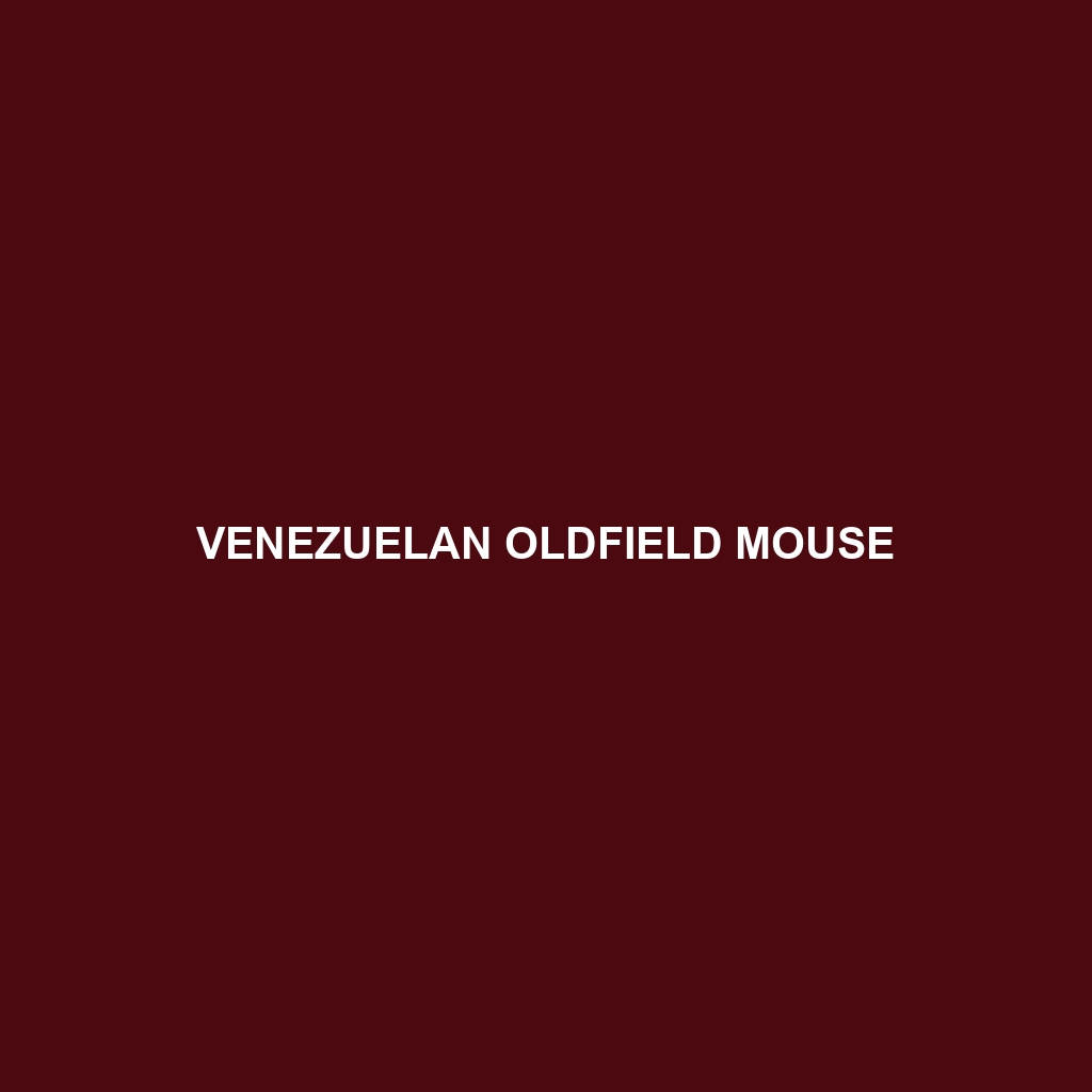 Venezuelan Oldfield Mouse