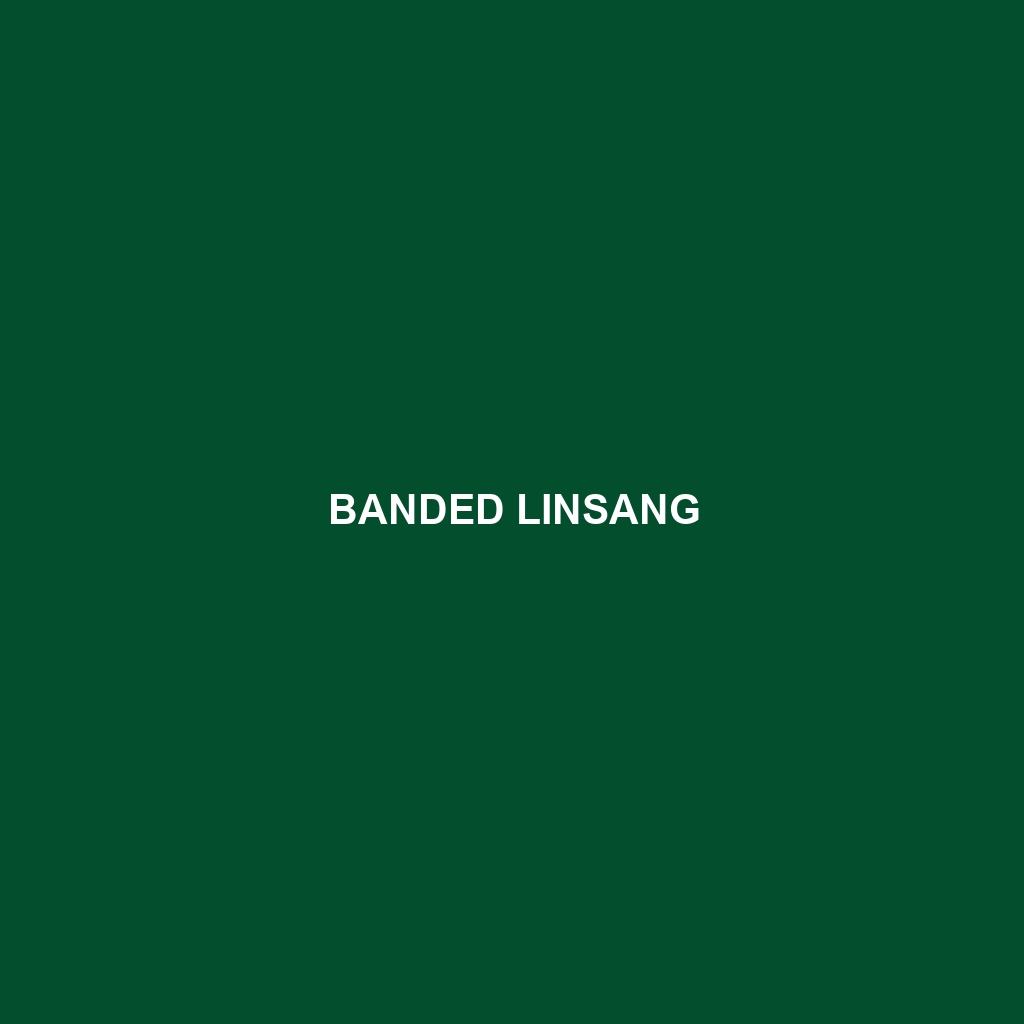 Banded Linsang