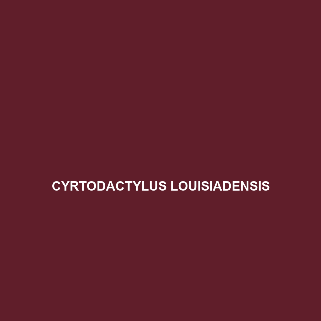 Cyrtodactylus louisiadensis