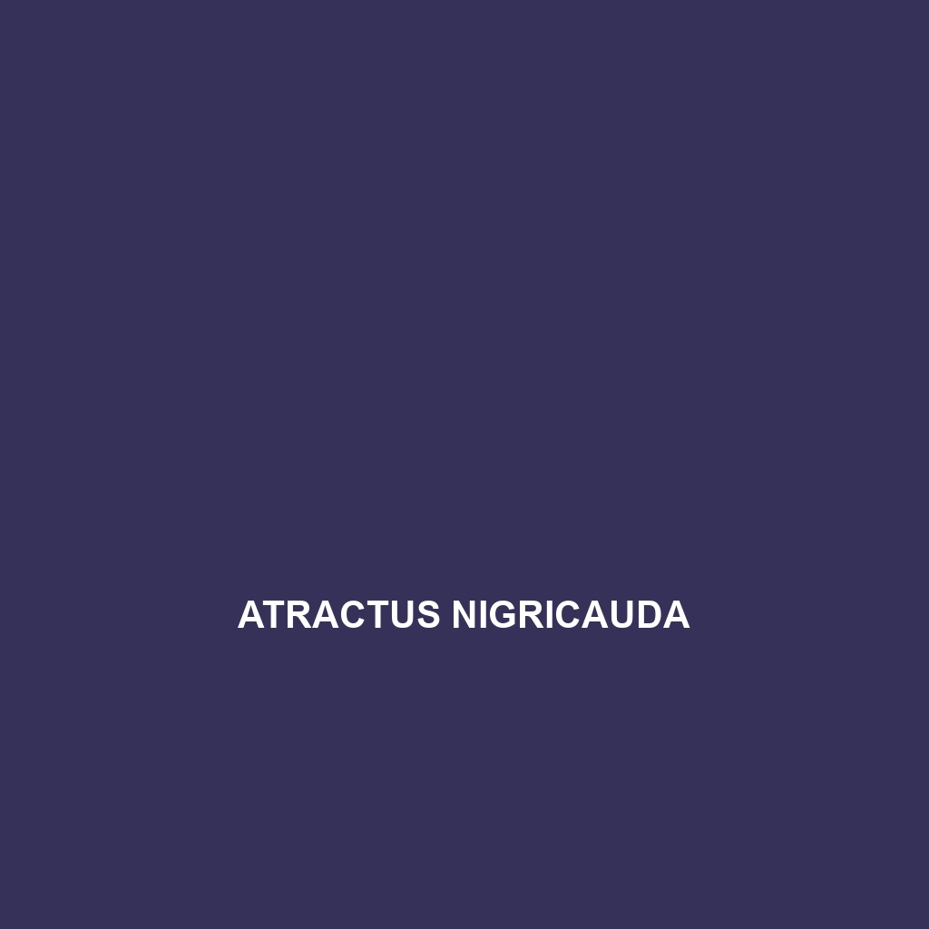 Atractus nicefori