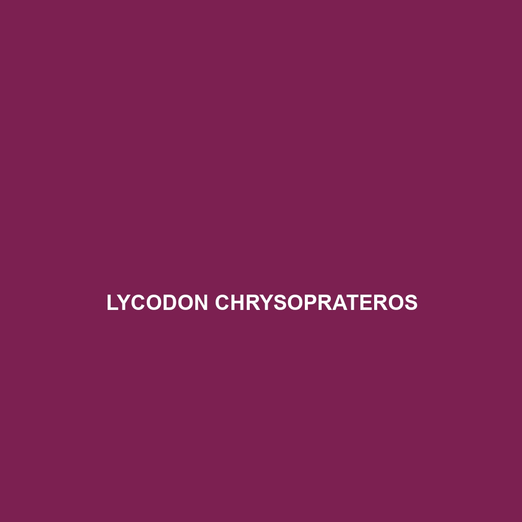 Lycodon chrysoprateros