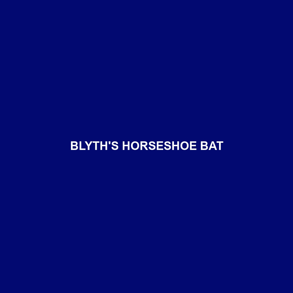 Blyth's Horseshoe Bat