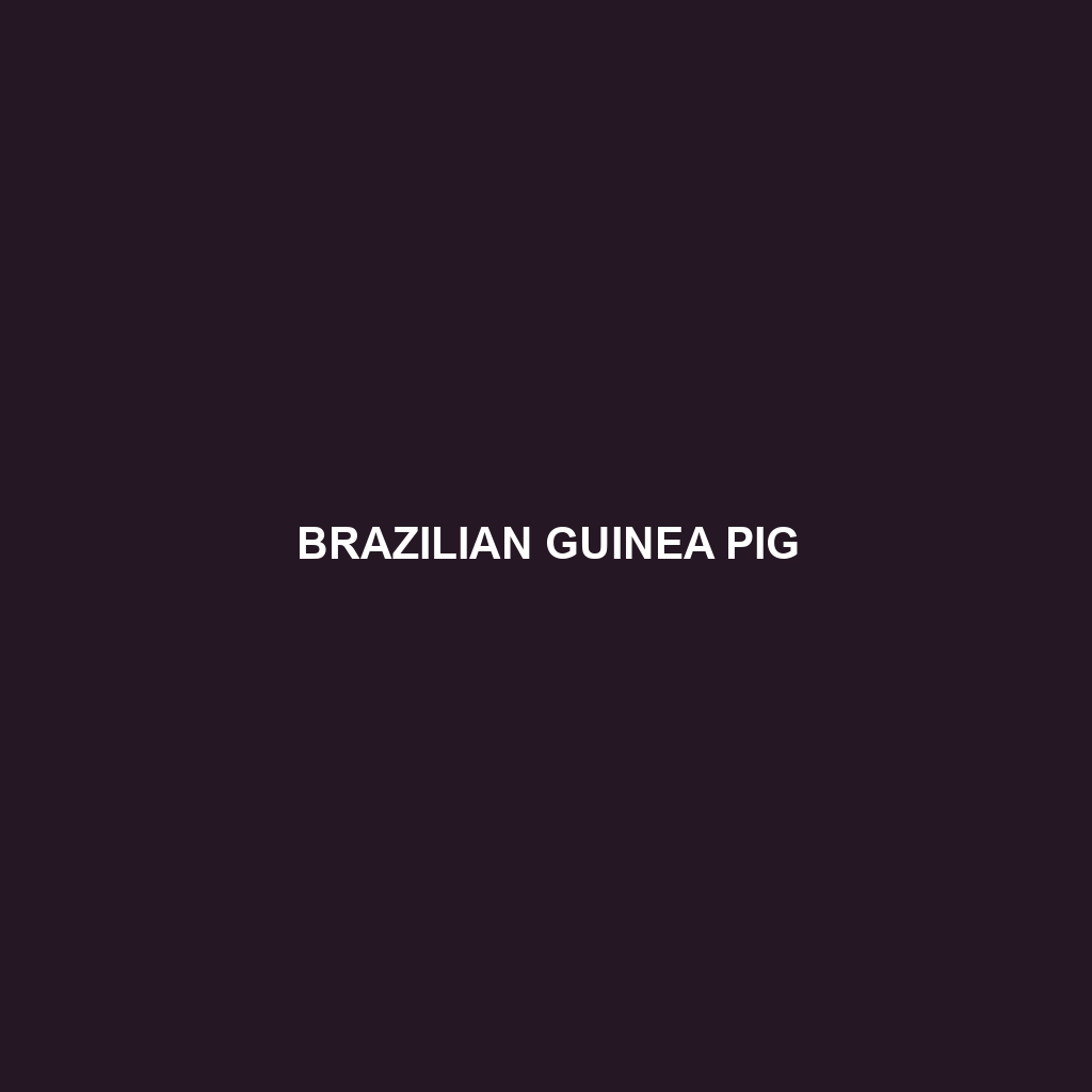 Brazilian Guinea Pig