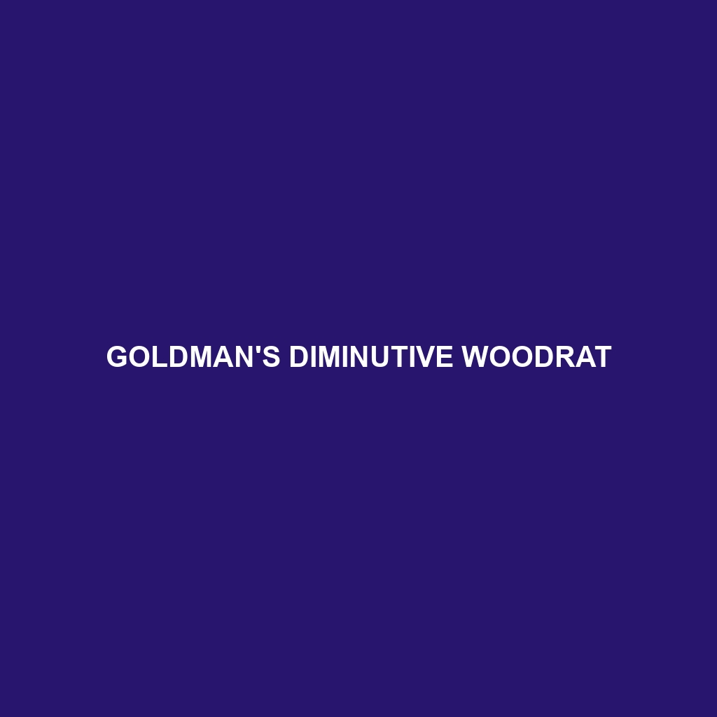 Goldman's Diminutive Woodrat