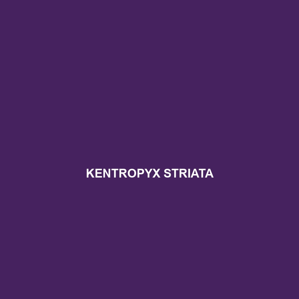 Kentropyx striata