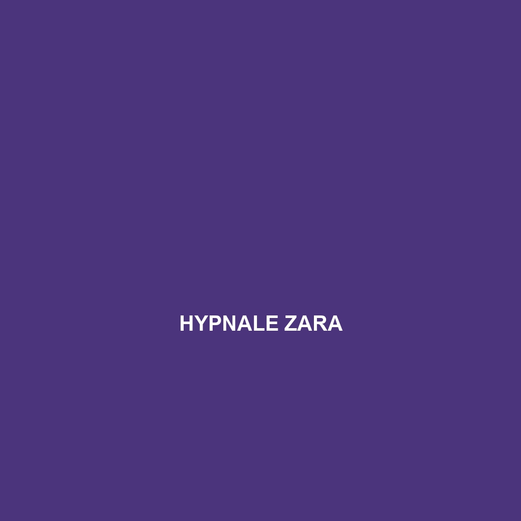 Hypnale zara