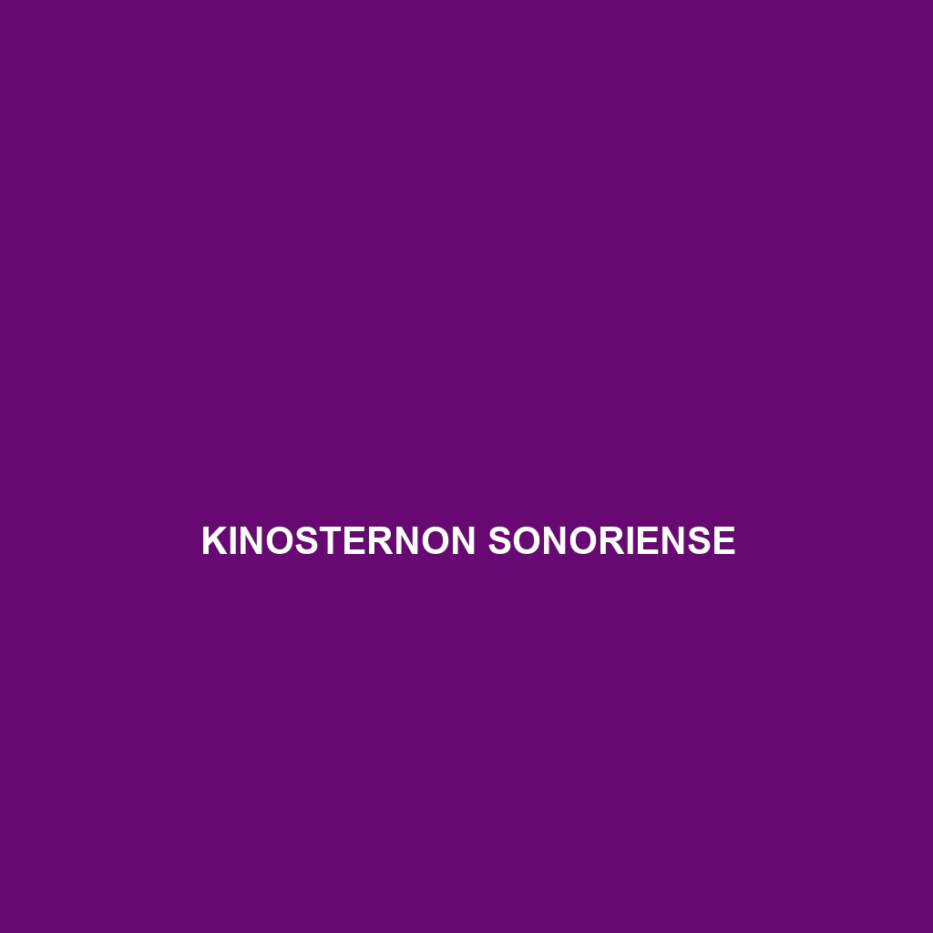 Kinosternon sonoriense