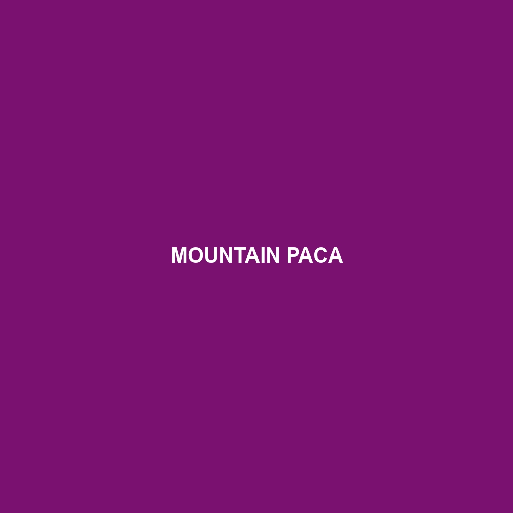 Mountain Paca