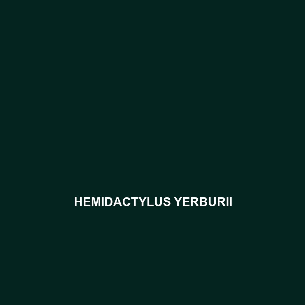 Hemidactylus yerburii