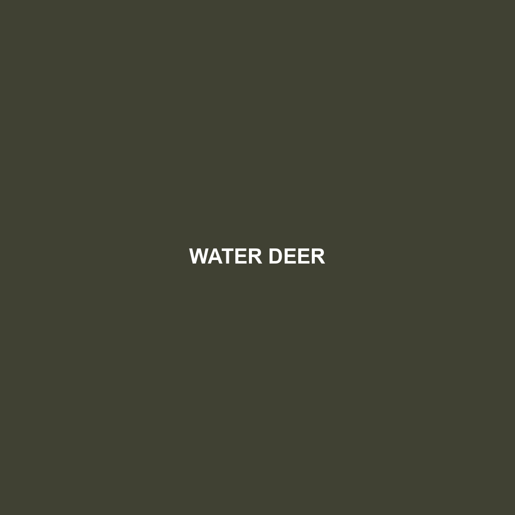 Water Deer