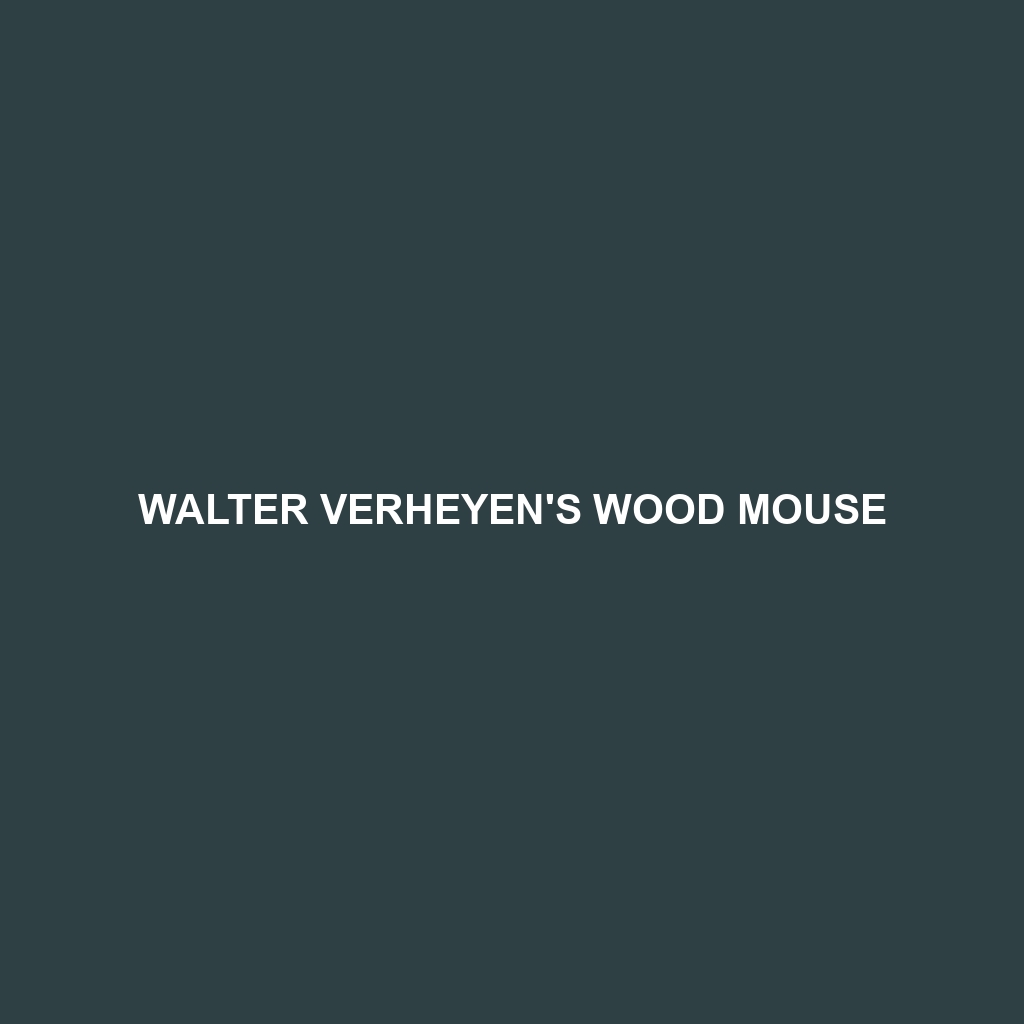 Walter Verheyen's Wood Mouse