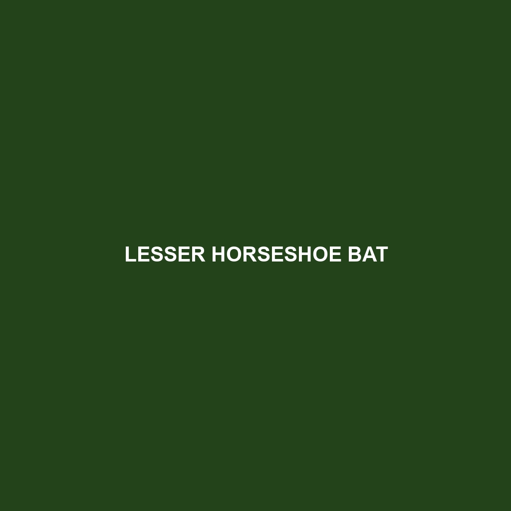 Lesser Horseshoe Bat