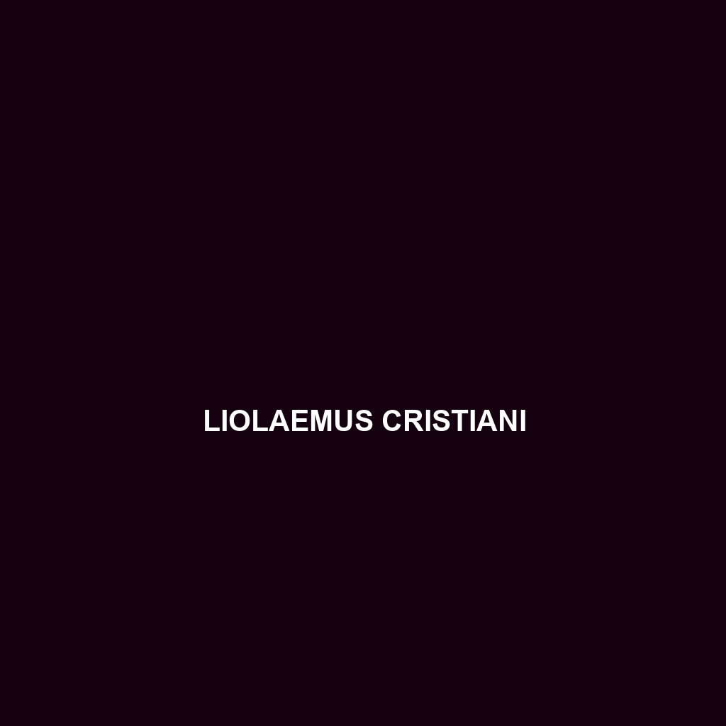 Liolaemus cristiani