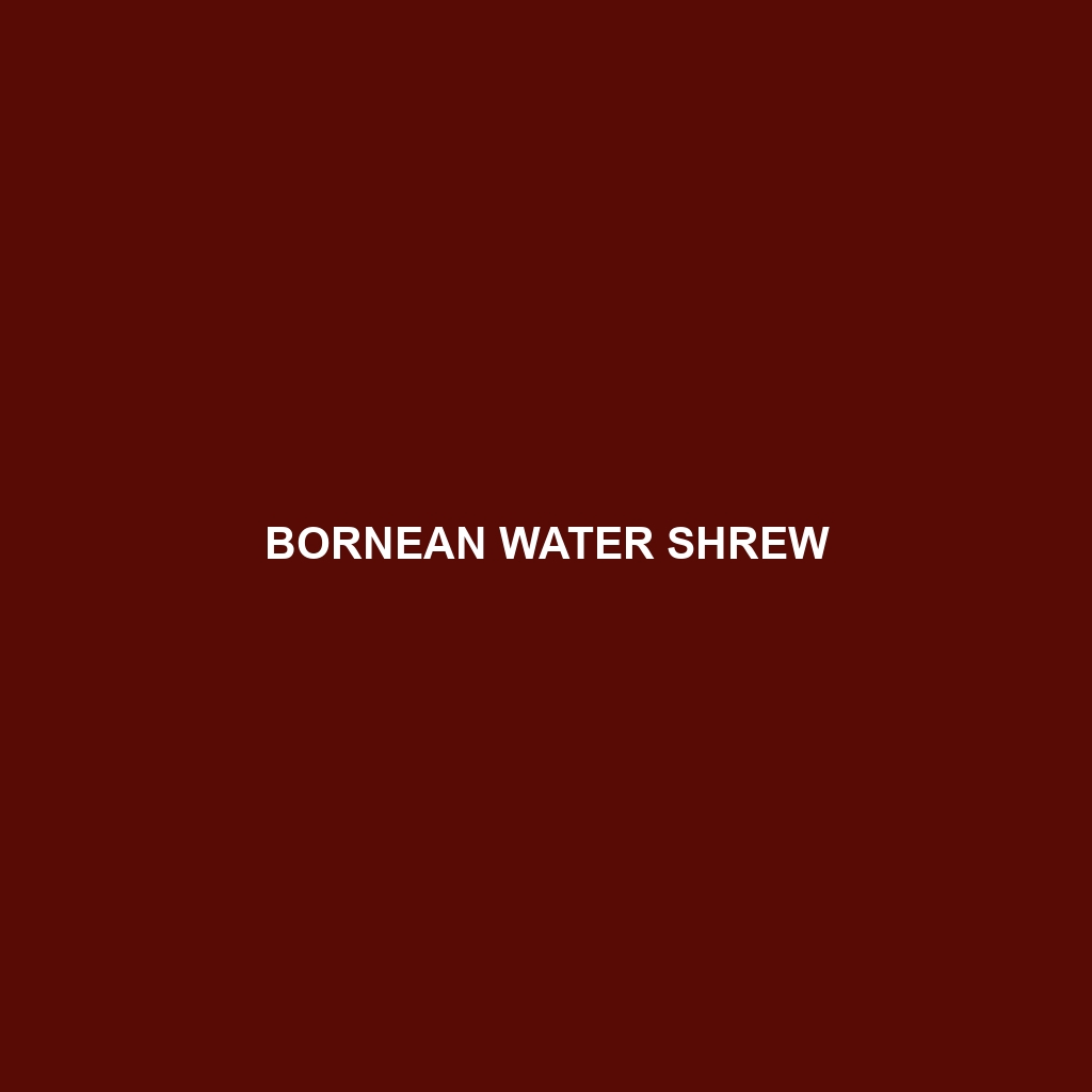 Bornean Water Shrew