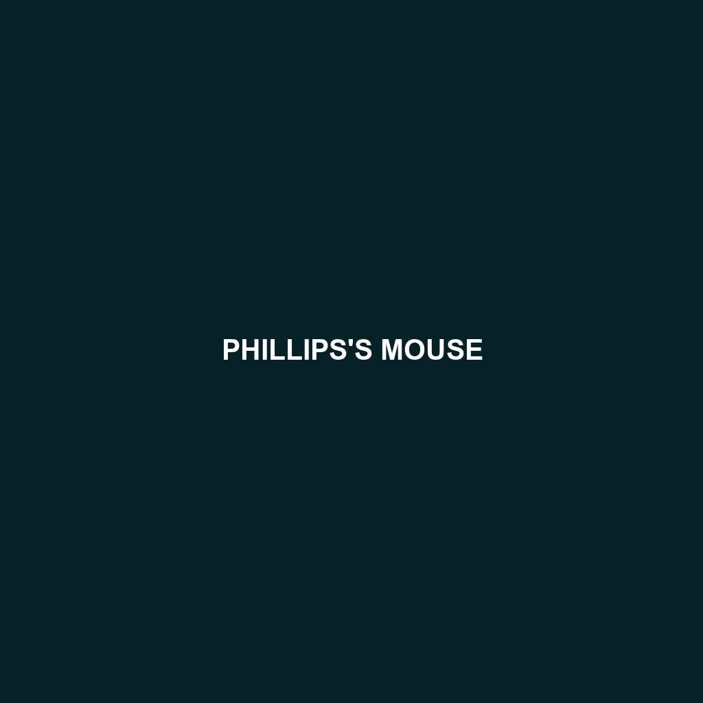 Phillips's Mouse