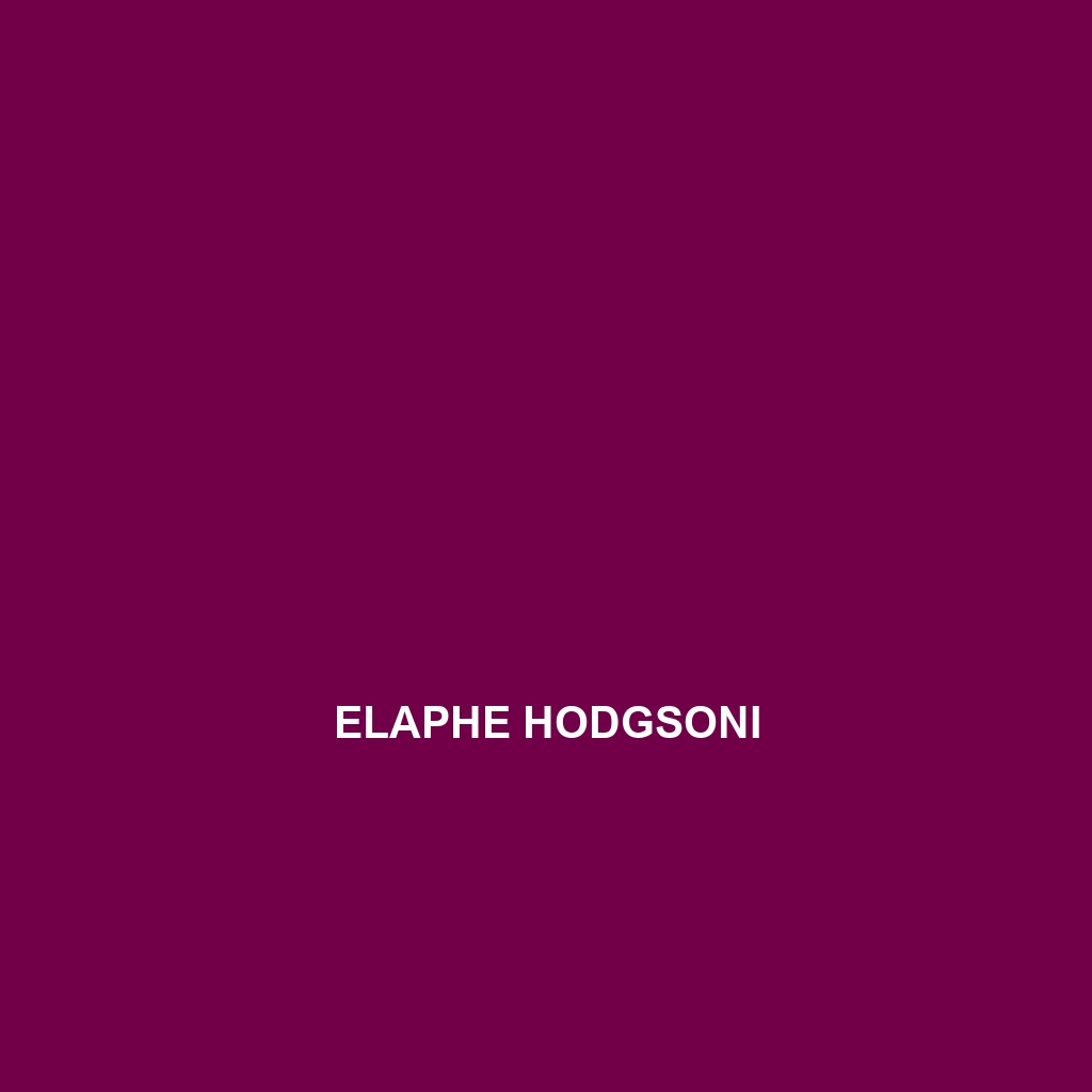 Elaphe hodgsoni