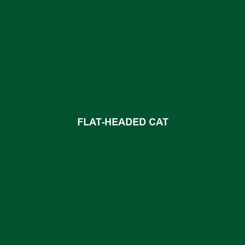 Flat-headed Cat