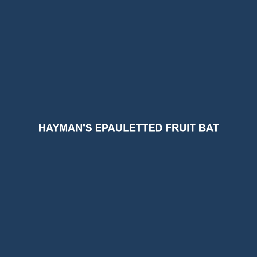 Hayman's Epauletted Fruit Bat