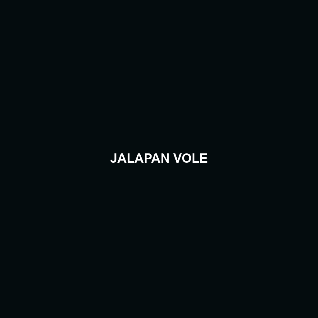 Jalapan Vole