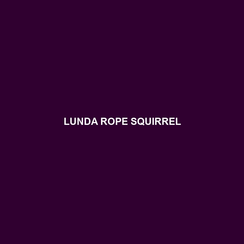 Lunda Rope Squirrel