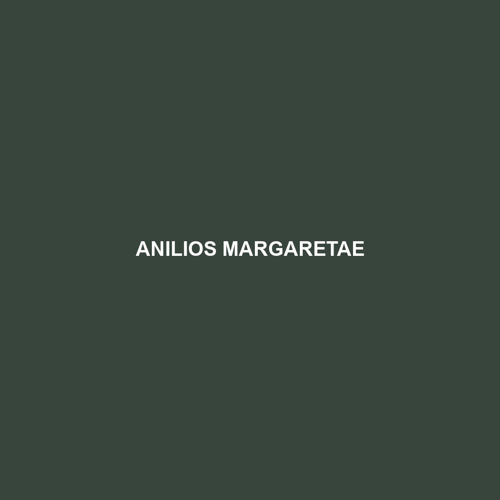 Anilios margaretae