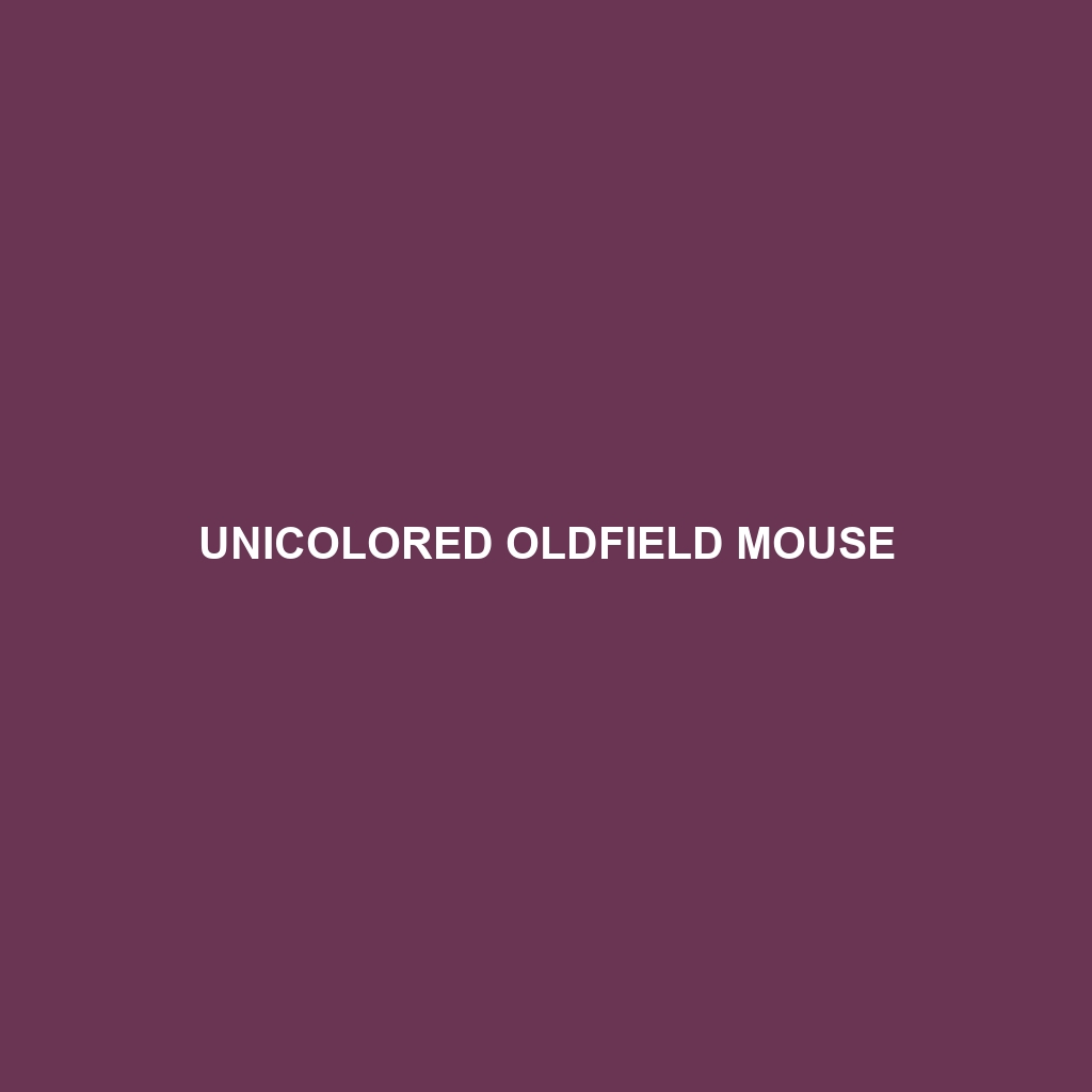 Unicolored Oldfield Mouse