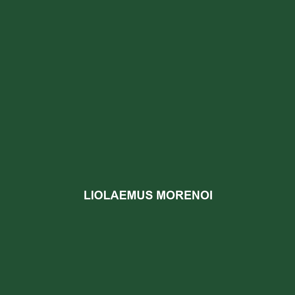 Liolaemus morenoi