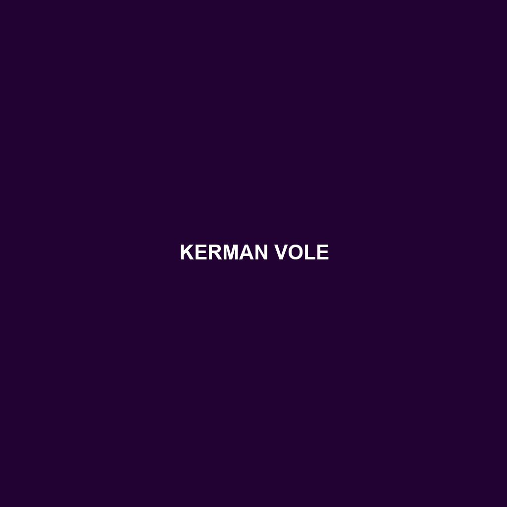 Kerman Vole