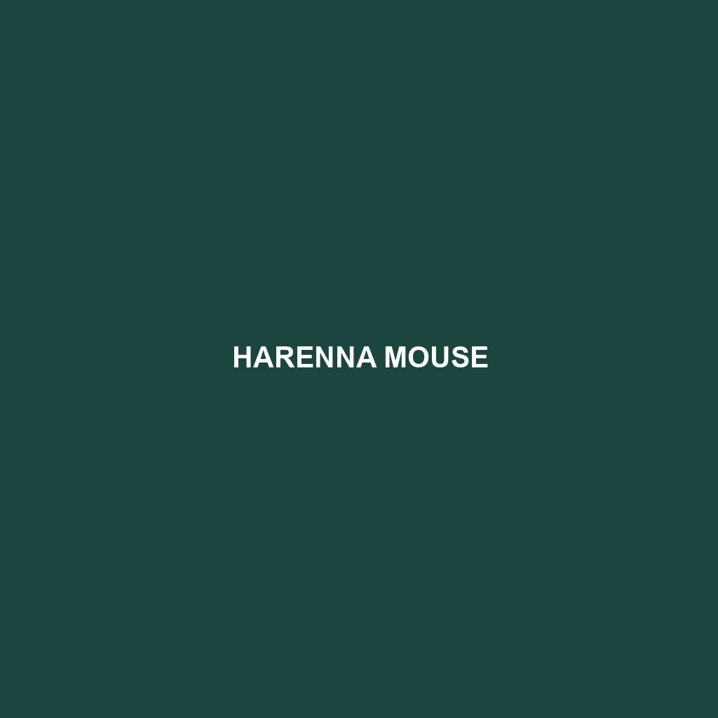 Harenna Mouse