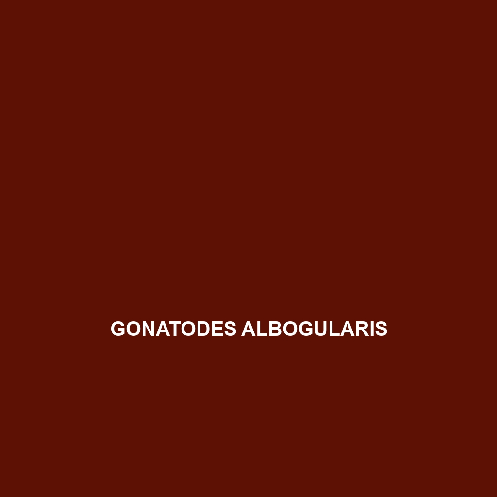 Gonatodes albogularis