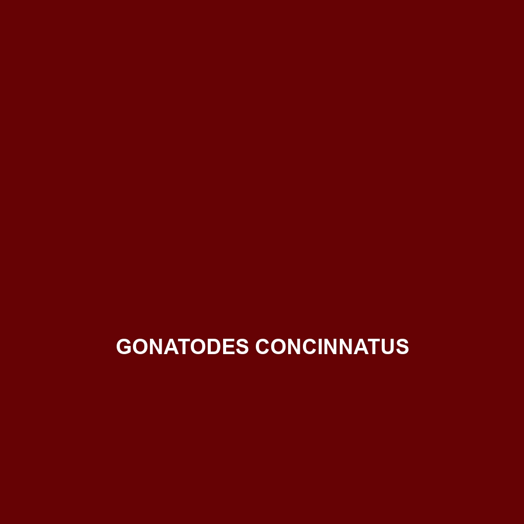 Gonatodes concinnatus