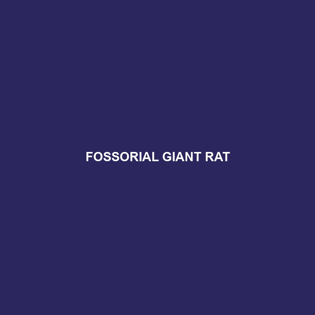 Fossorial Giant Rat