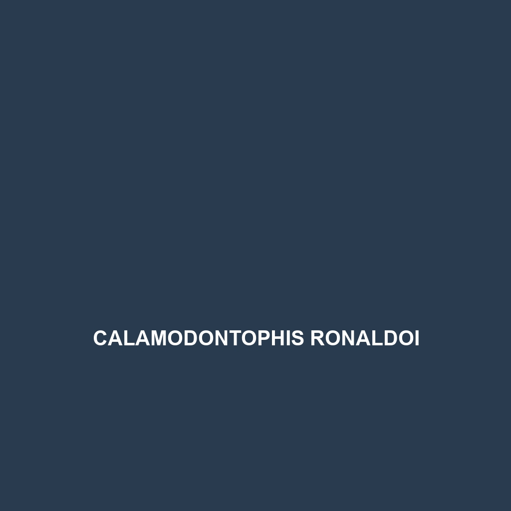 Calamodontophis ronaldoi