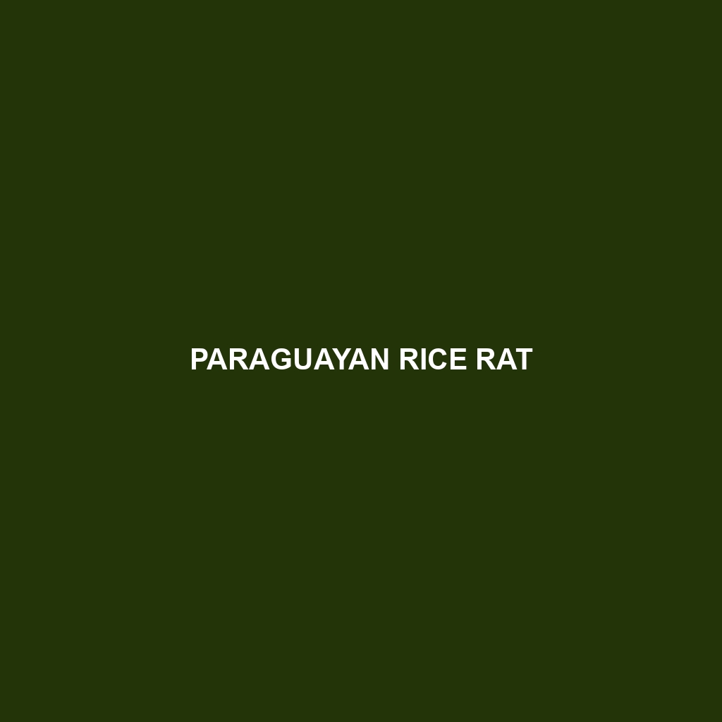 Paraguayan Rice Rat