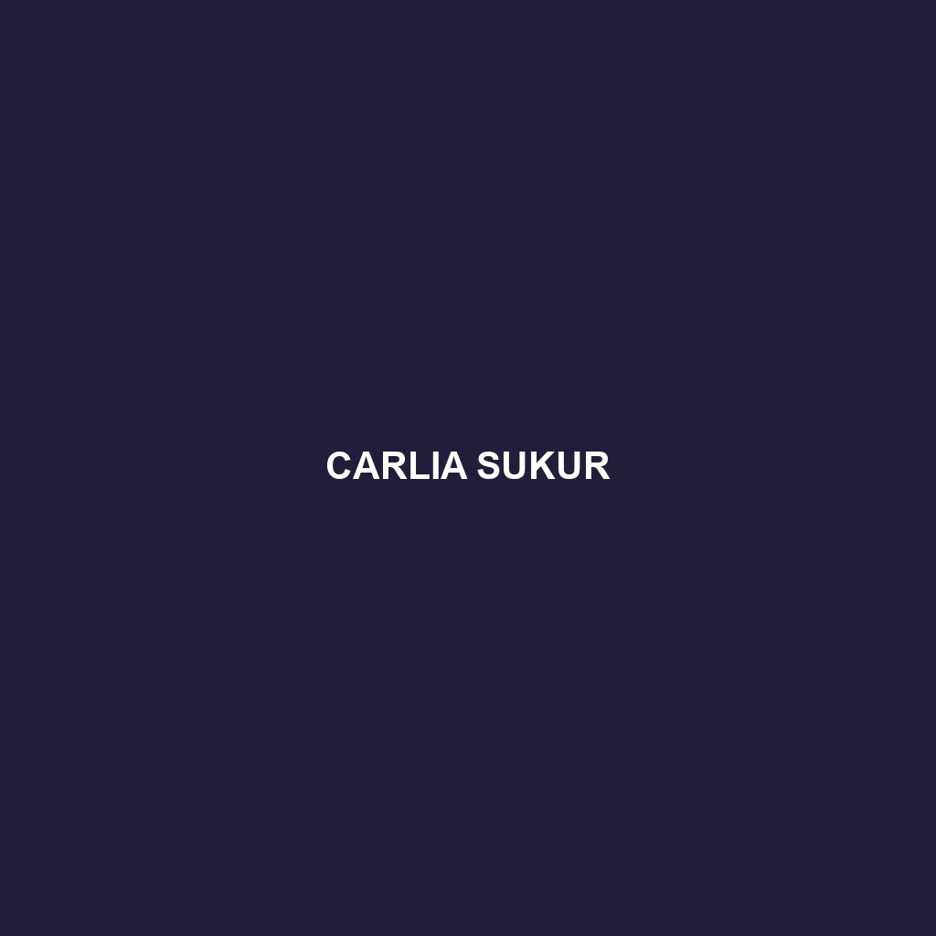 Carlia sukur