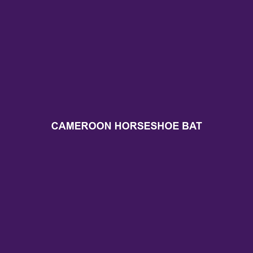 Cameroon Horseshoe Bat