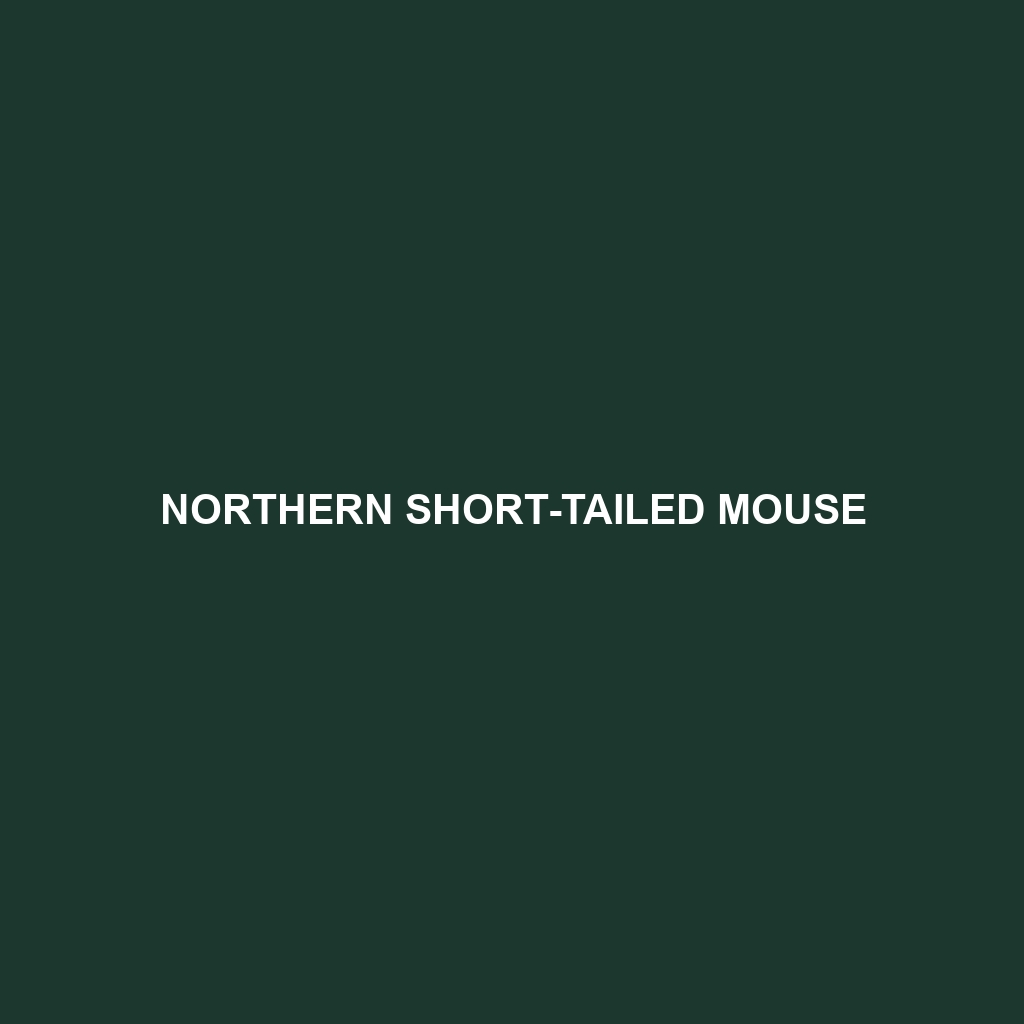 Northern Short-tailed Mouse