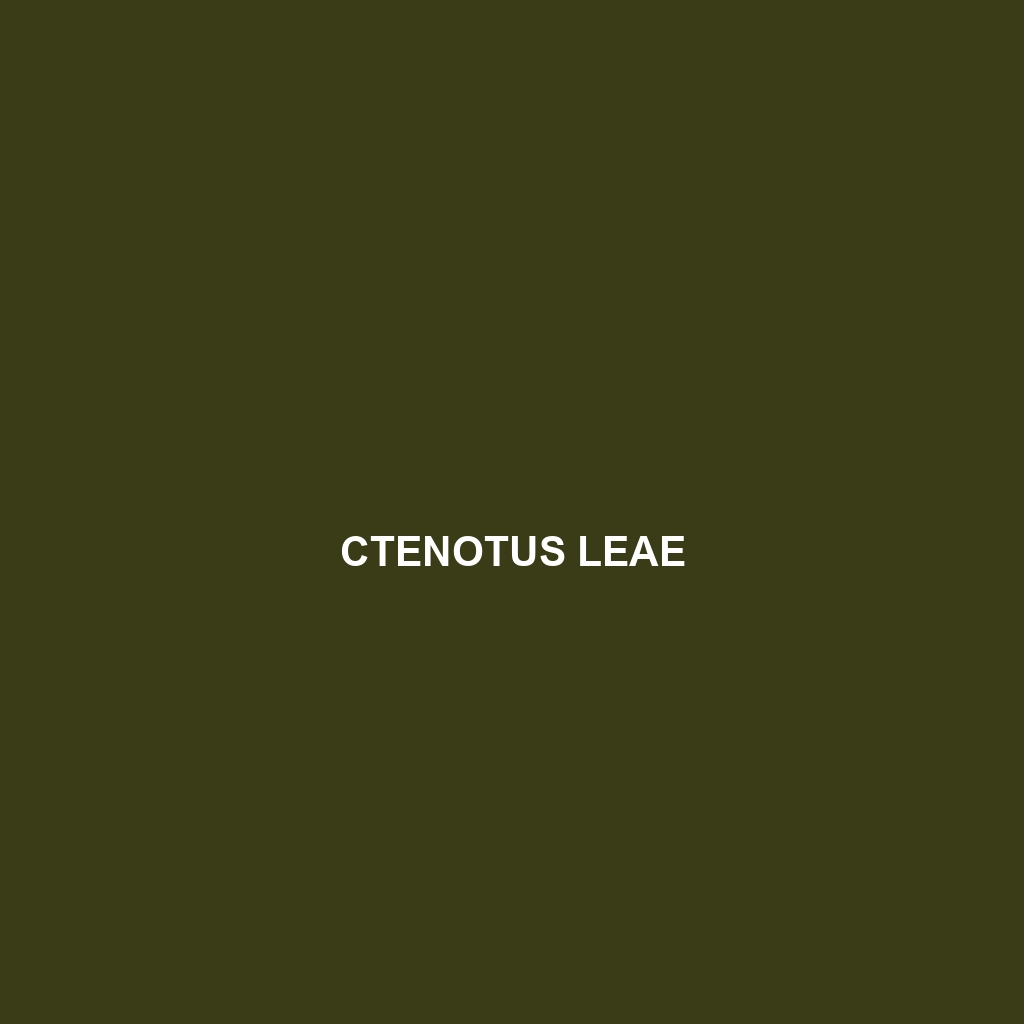 Ctenotus leae