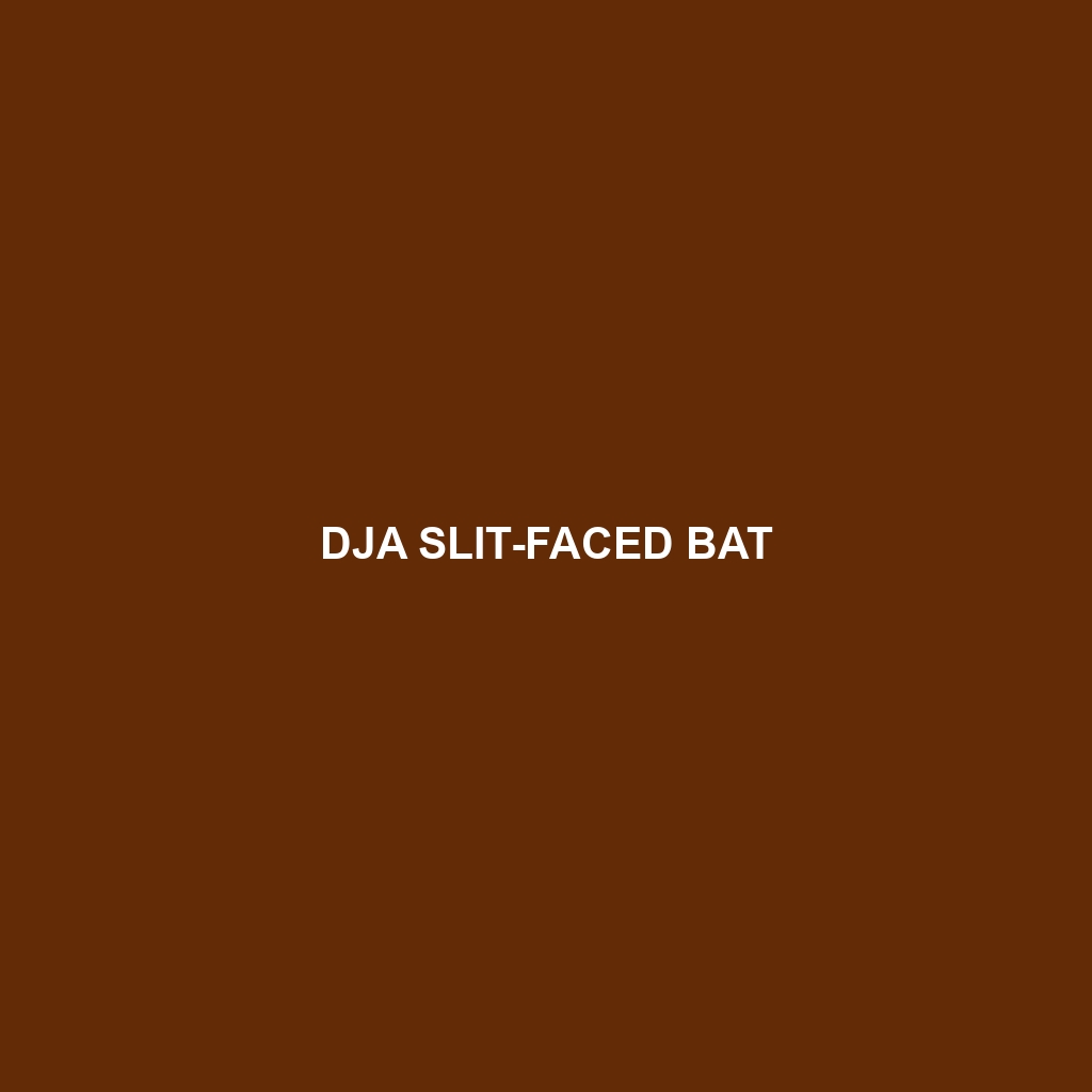 Dja Slit-faced Bat