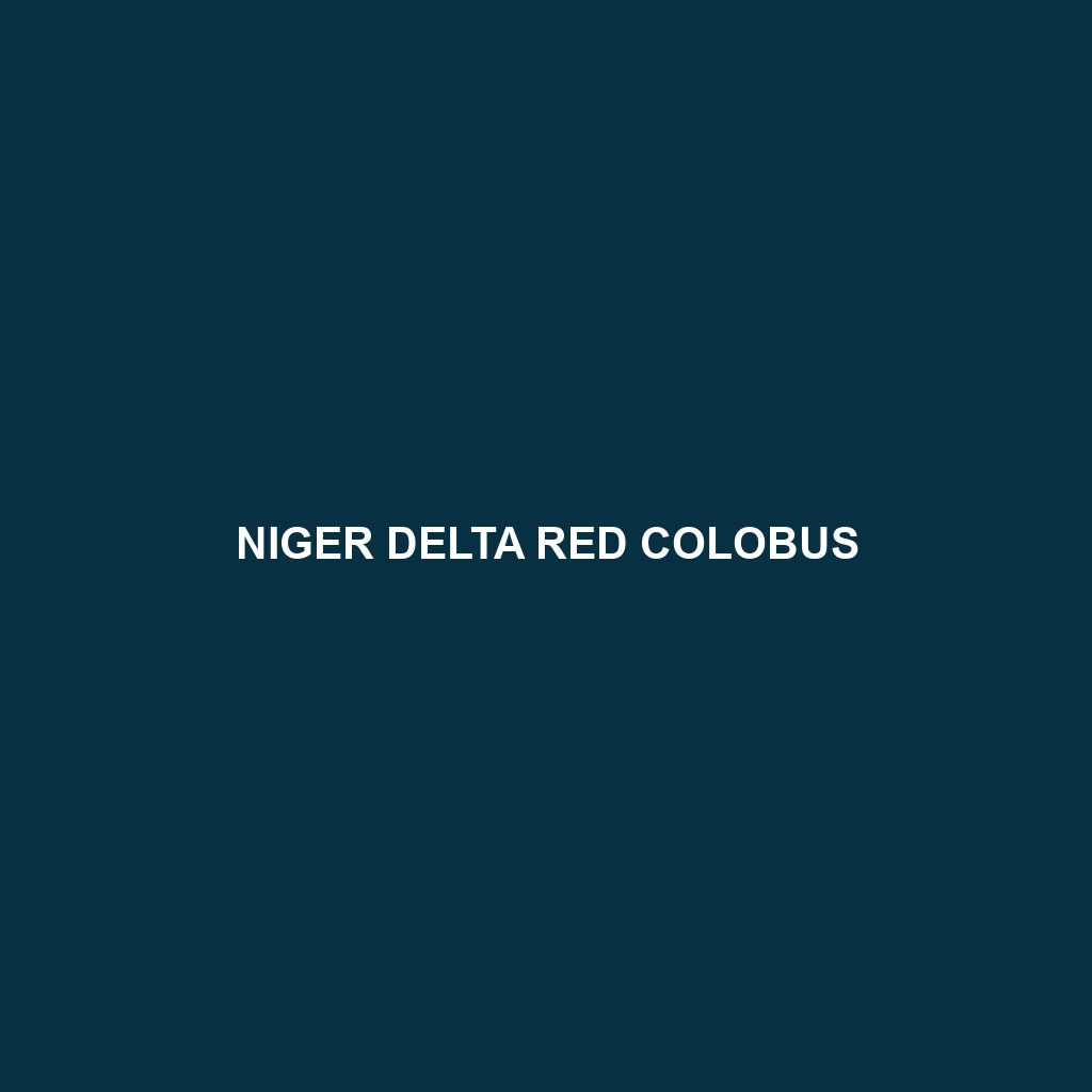 Niger Delta Red Colobus