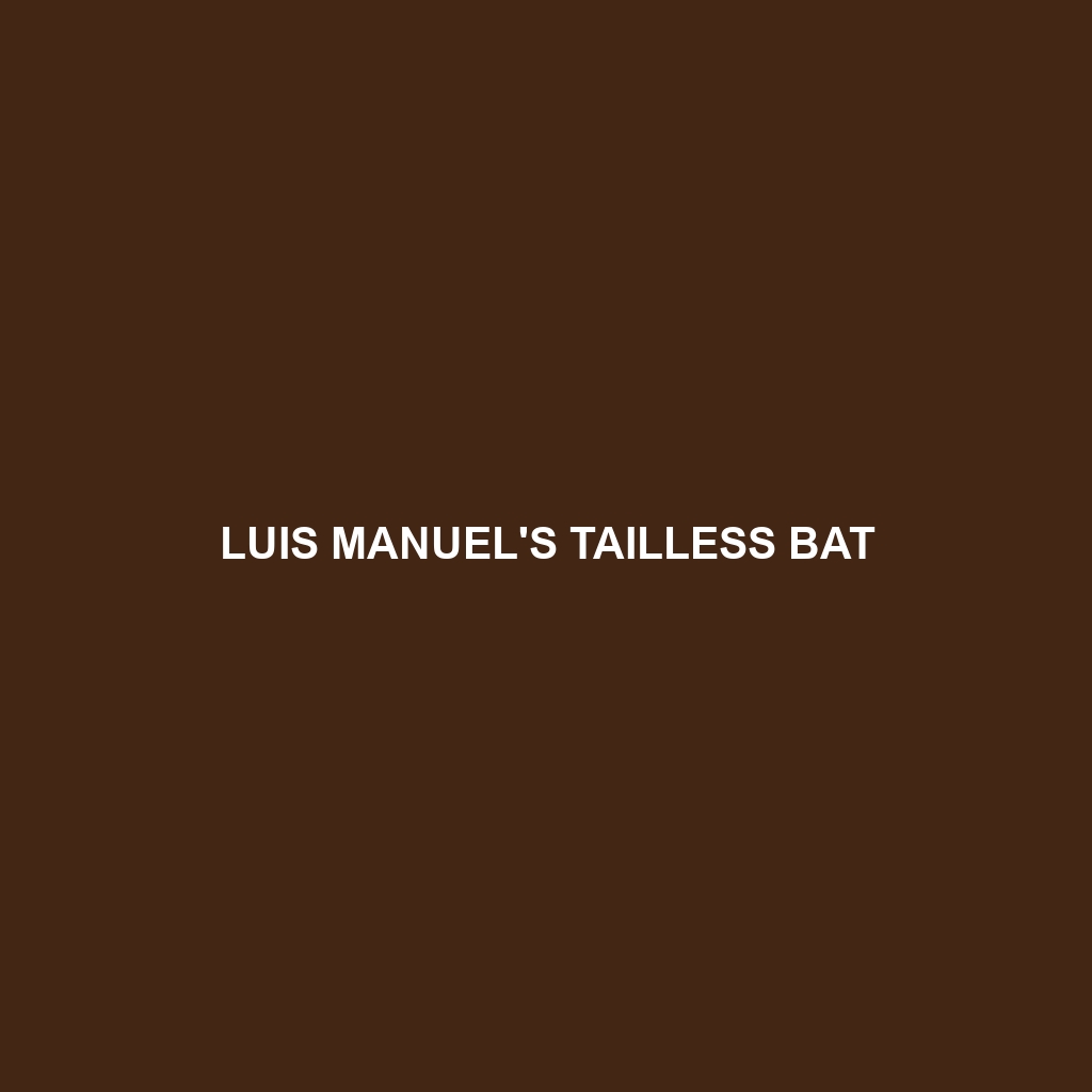 Luis Manuel's Tailless Bat