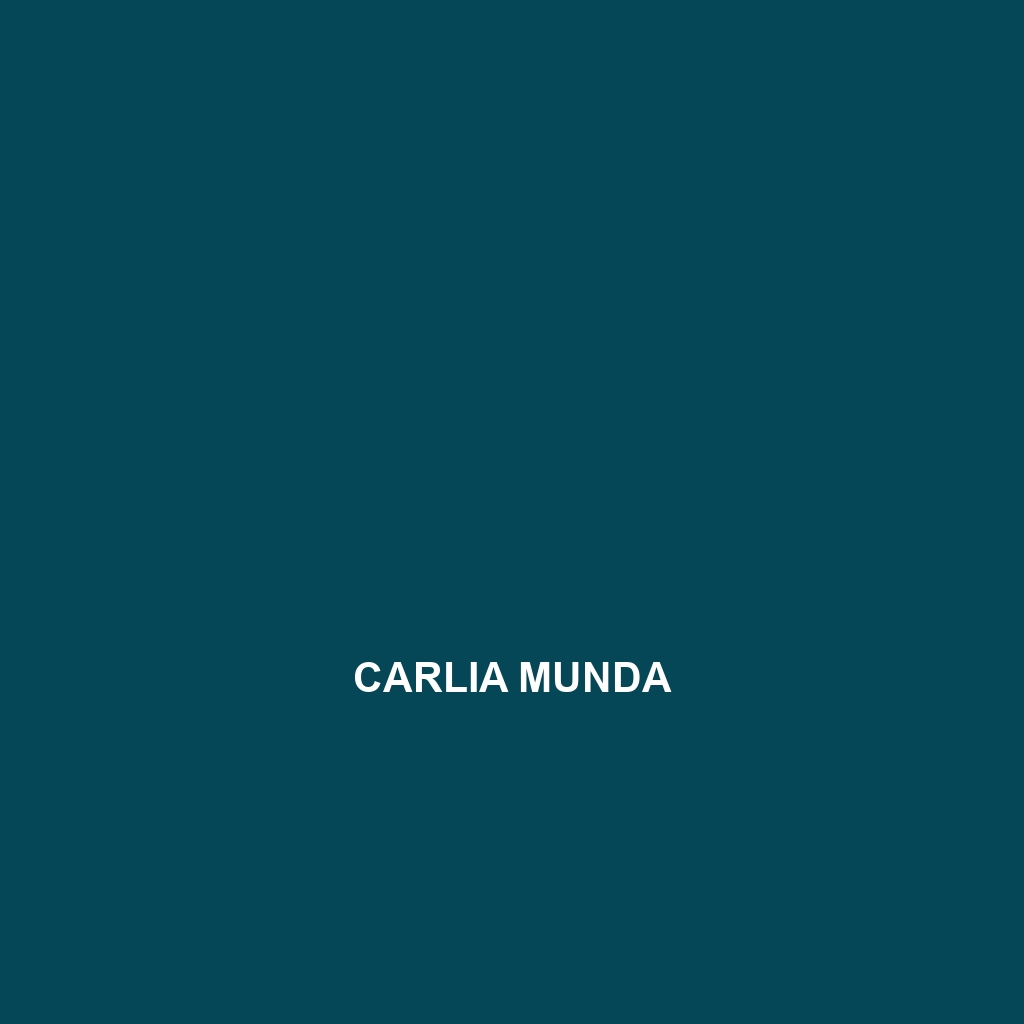 Carlia munda