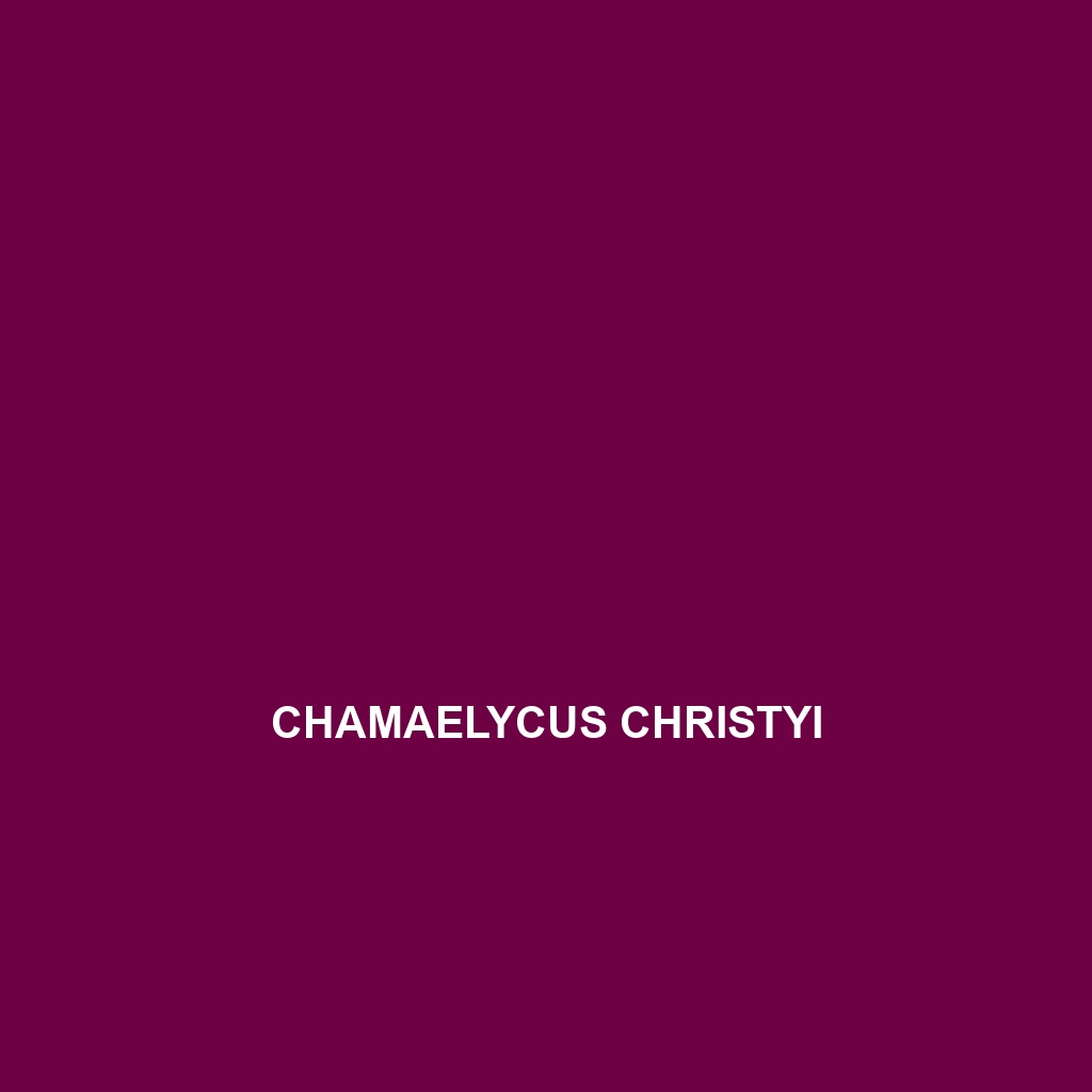 Chamaelycus christyi