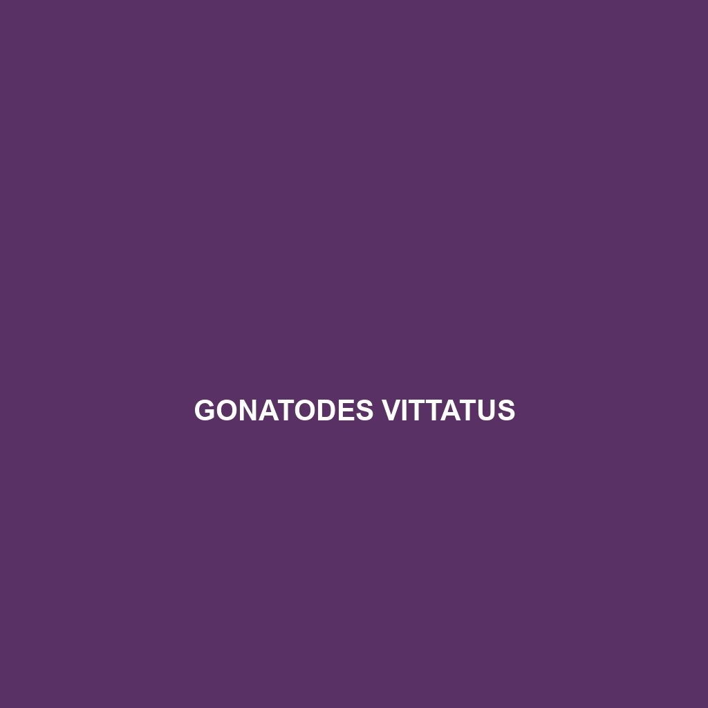 Gonatodes vittatus