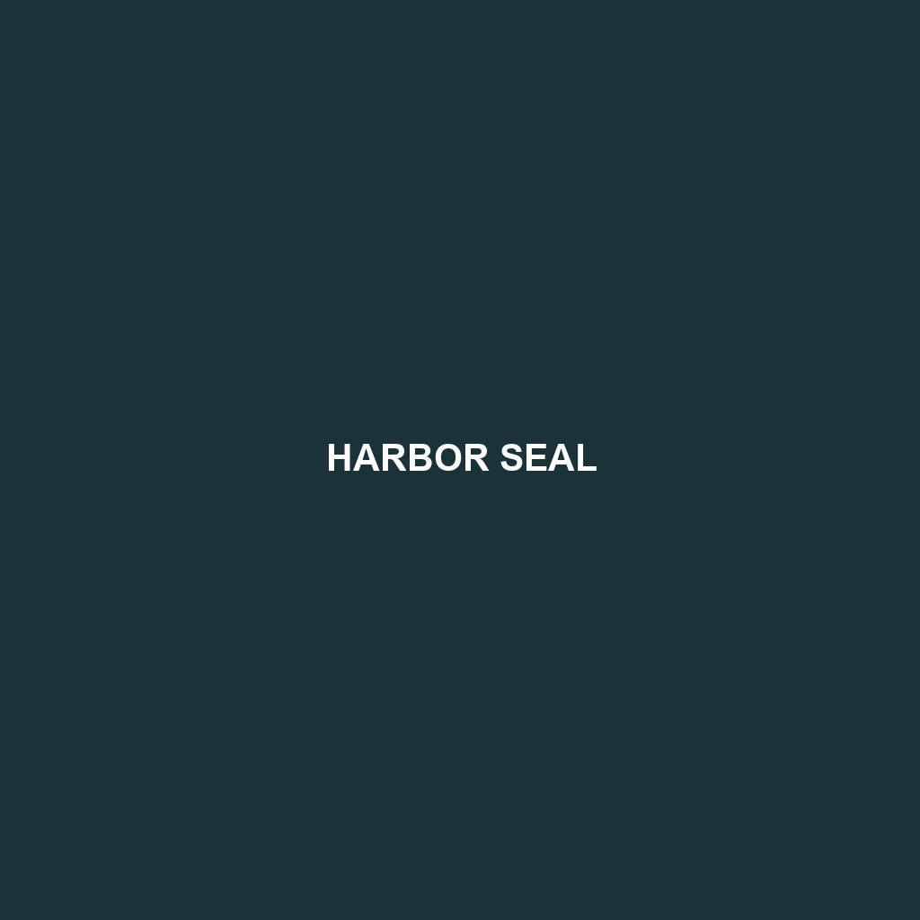 Harbor Seal