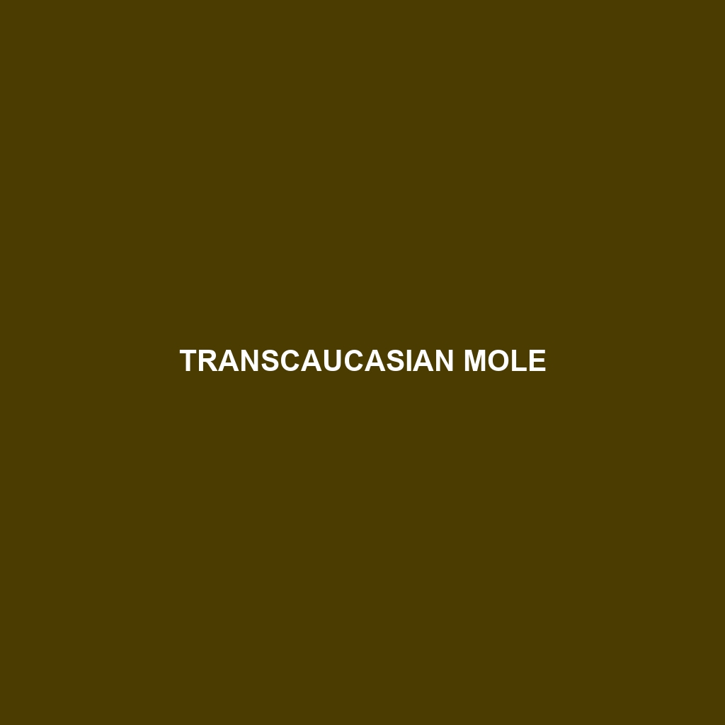 Transcaucasian Mole