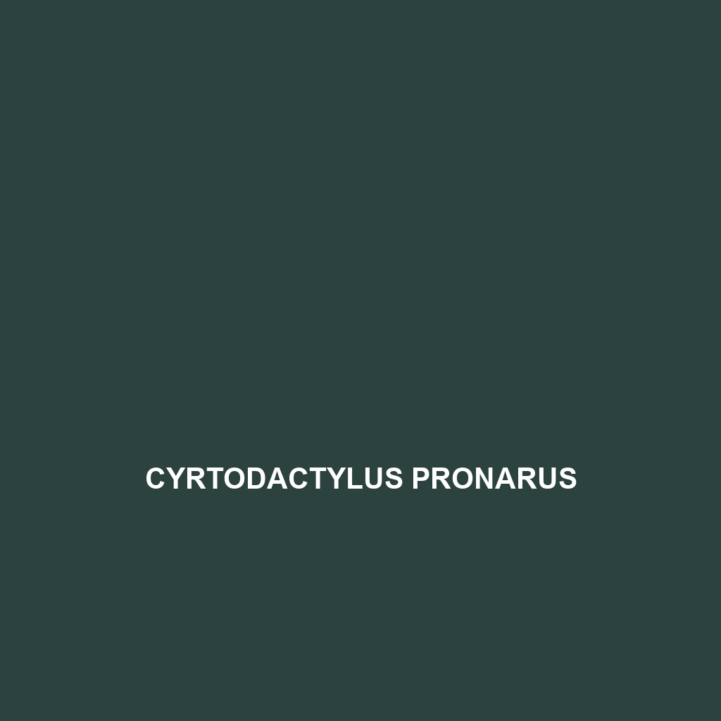 Cyrtodactylus pronarus